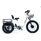 Emojo Bison Pro 750W Foldable Step Thru Trike
