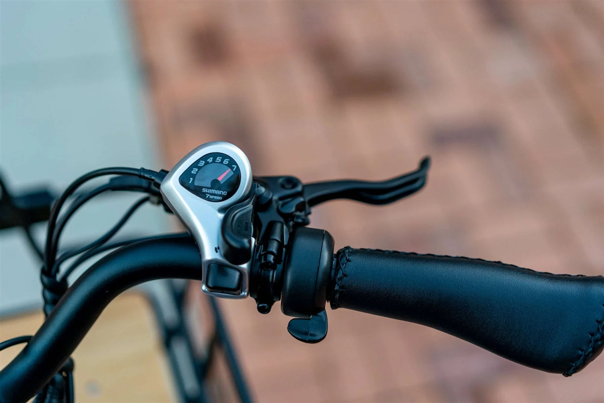 Emojo Bison Pro 750W Foldable Step Thru Trike