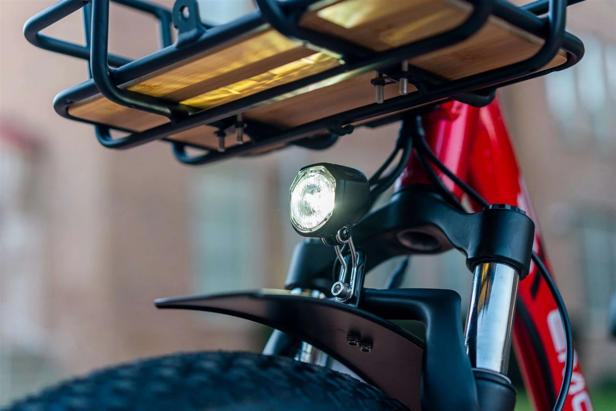 Emojo Bison Pro 750W Foldable Step Thru Trike