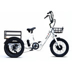 Emojo Bison S Electric Folding Trike 500W 48V