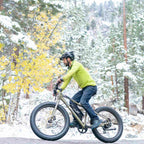 Emojo Wildcat Pro 750 Fat Tire Electric Bike