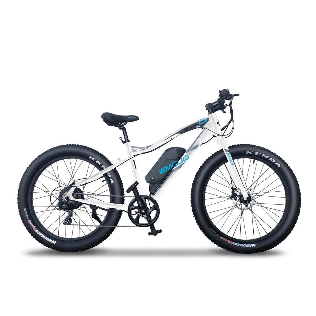 Emojo Wildcat Pro 750 Fat Tire Electric Bike