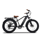 Emojo Hurricane PRO 13Ah 750W Fat Tire Electric Bike