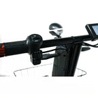 Cheetah Ninja ADA 2 Seater  Scooter & Golf Cart