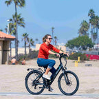 Emojo Panther Pro /10.4Ah 500W Fat Tire Electric Bike