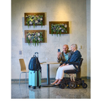Buzzaround Carry On Powerchair