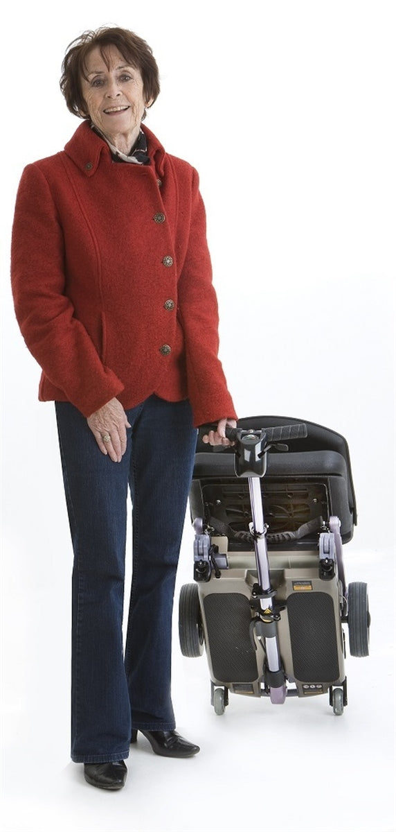 Luggie Travel Scooter - Standard Edition